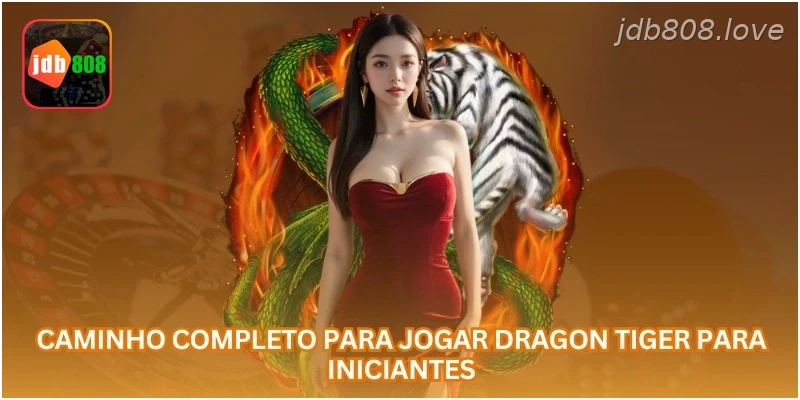 Caminho completo para jogar Dragon Tiger para iniciantes.